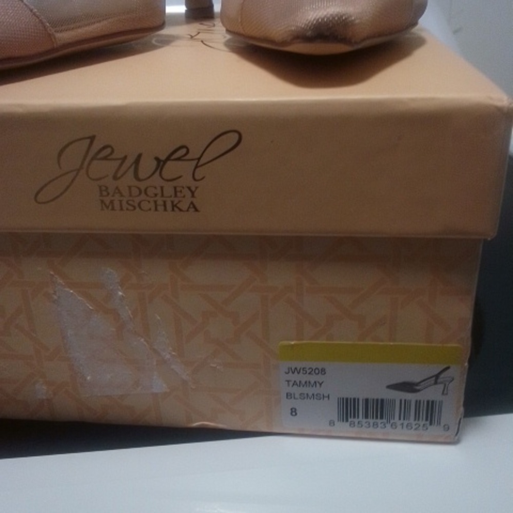 NWT NIB Jewel Badgley Mischka Tammy Blush/ Mesh Heels - Picture 2 of 7